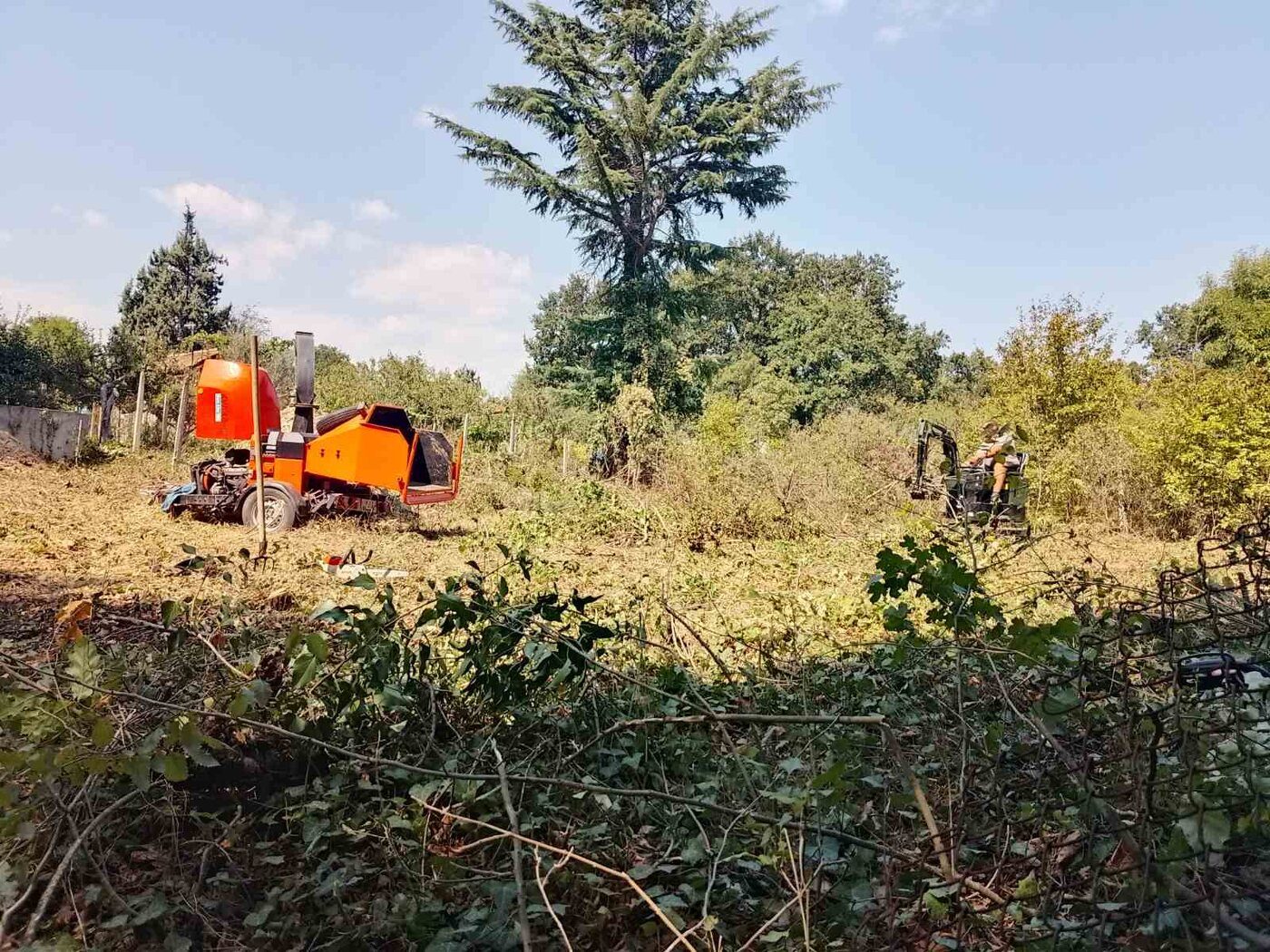 Обрасъл с храсти и клони терен преди разчистване от Бригада Георги