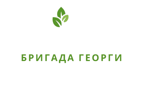 Бригада Георги