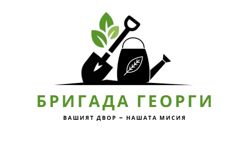 Бригада Георги