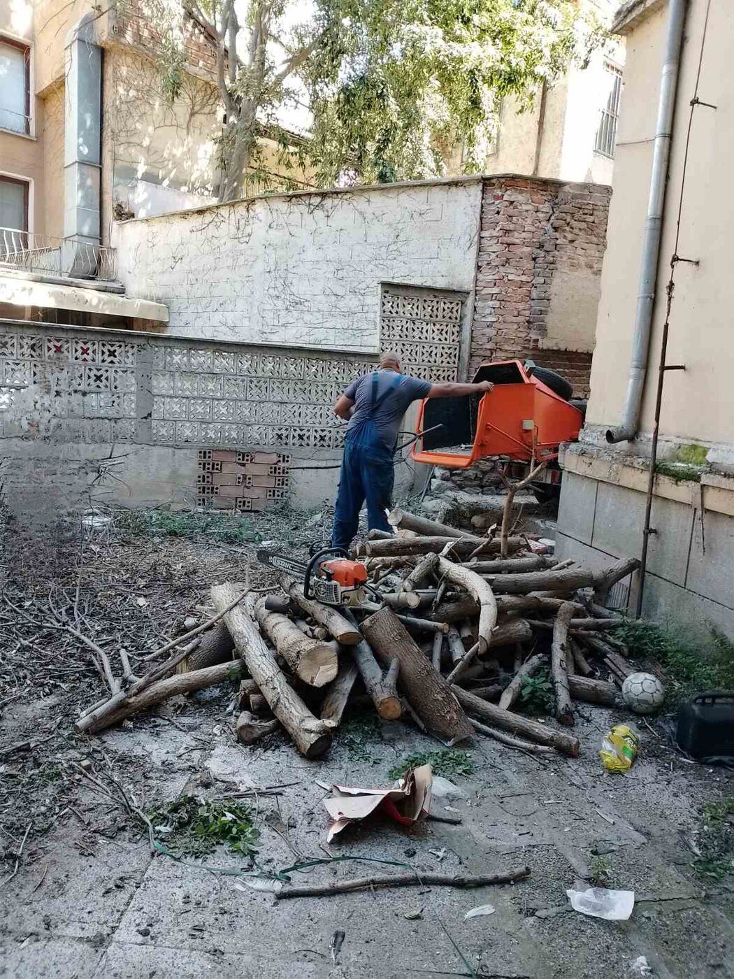 Раздробяване на клони в двор след рязане